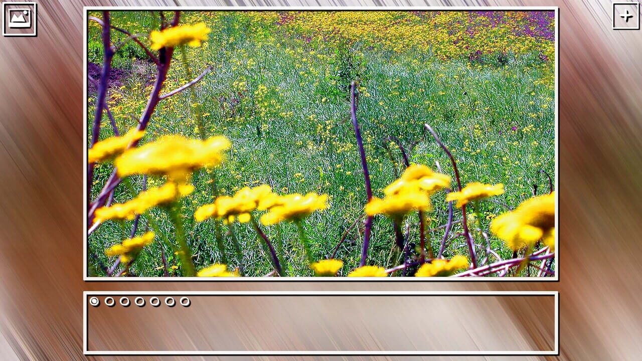 Super Jigsaw Puzzle: Generations - Spring Puzzles Image