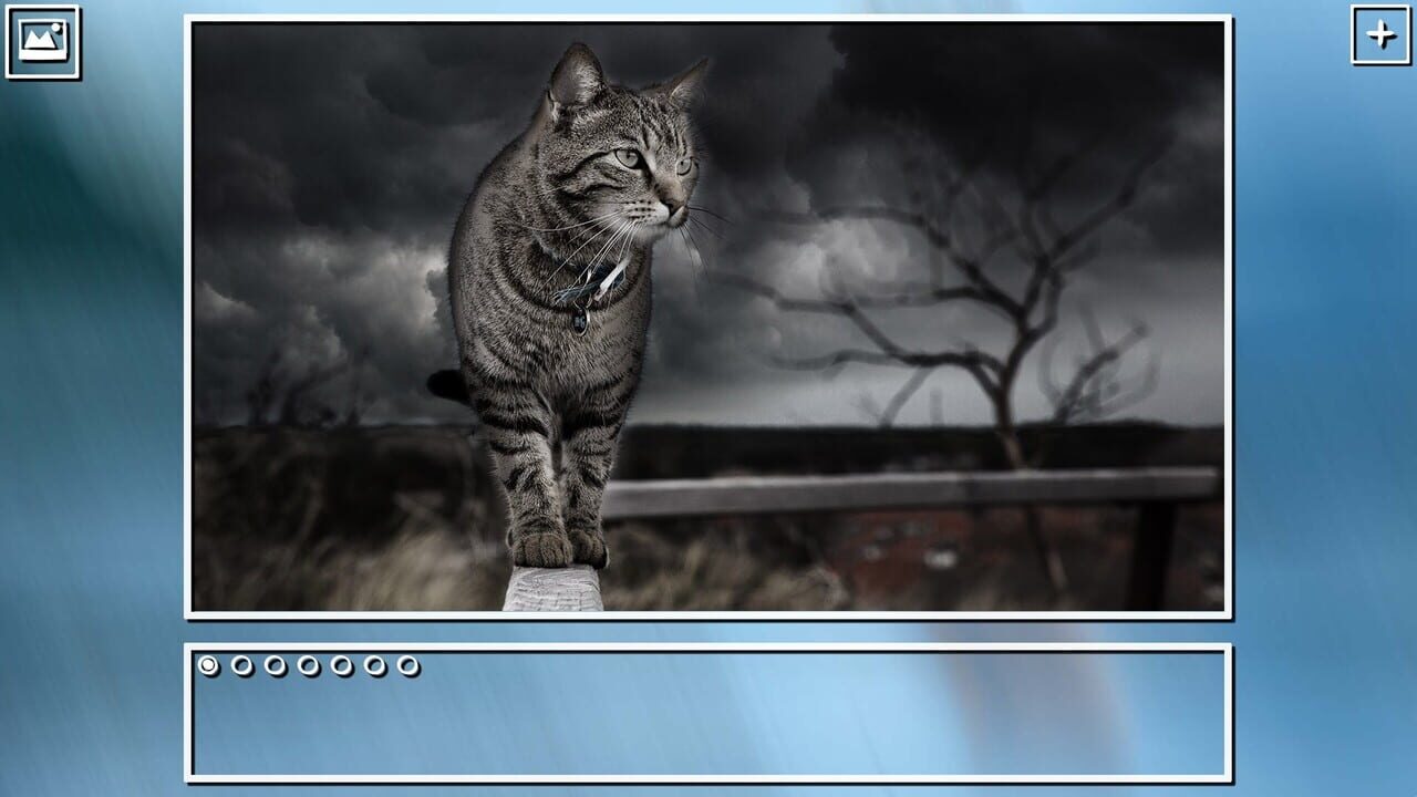 Super Jigsaw Puzzle: Generations - Cats Puzzles Image