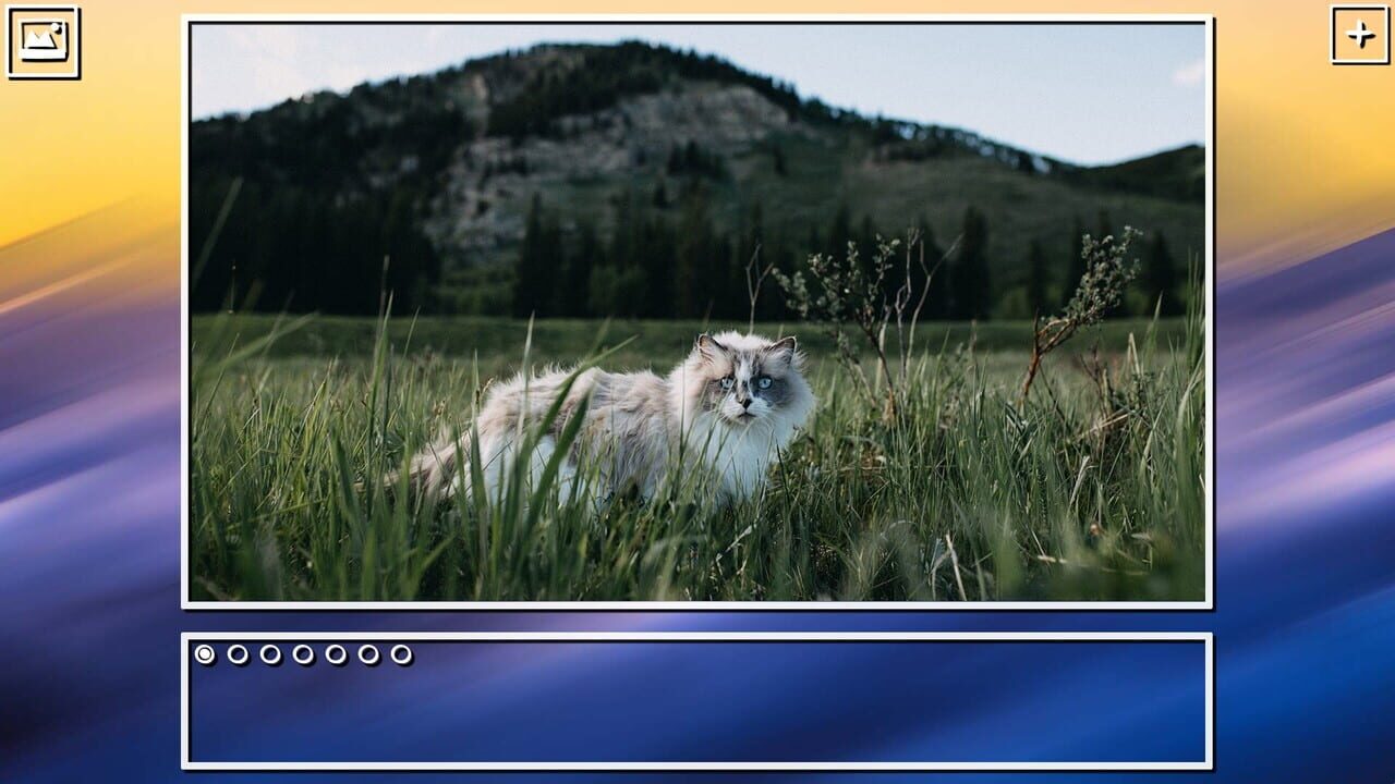 Super Jigsaw Puzzle: Generations - Cats Puzzles Image