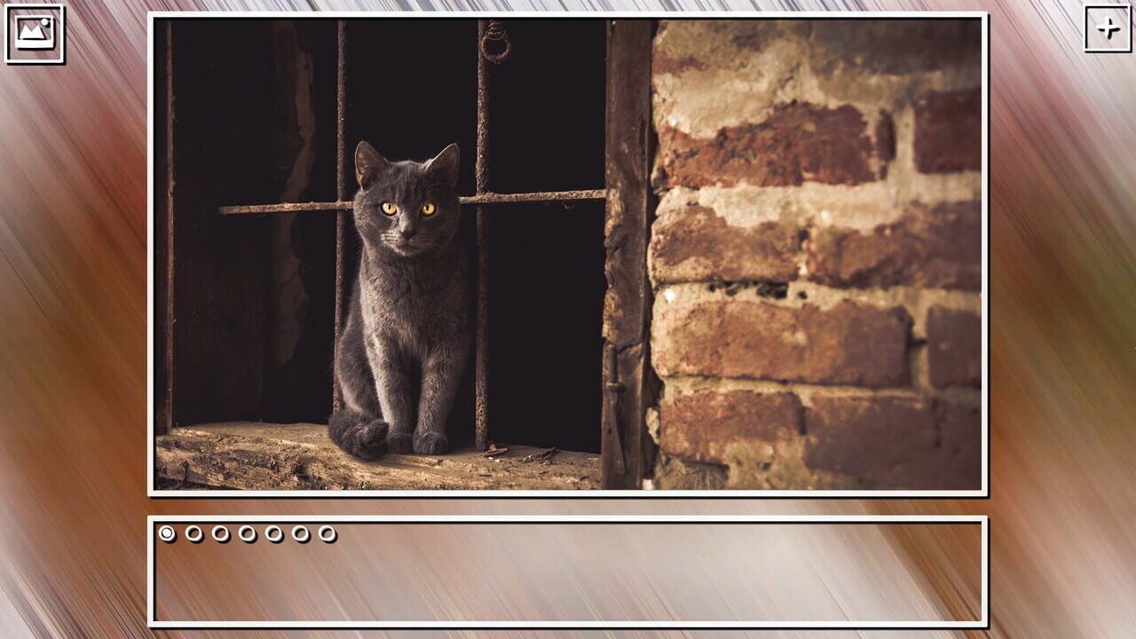 Super Jigsaw Puzzle: Generations - Cats Puzzles Image