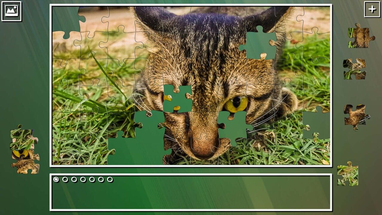 Super Jigsaw Puzzle: Generations - Cats Puzzles Image