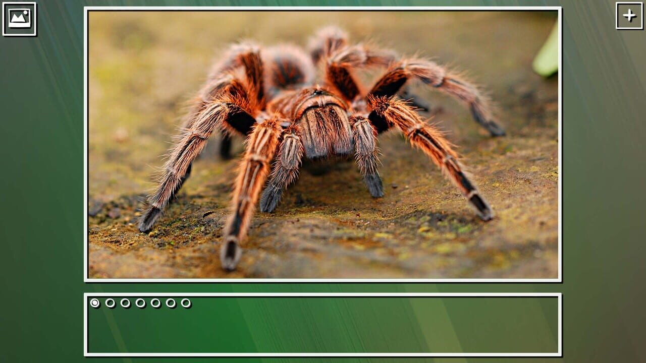 Super Jigsaw Puzzle: Generations - Bugs Puzzles Image