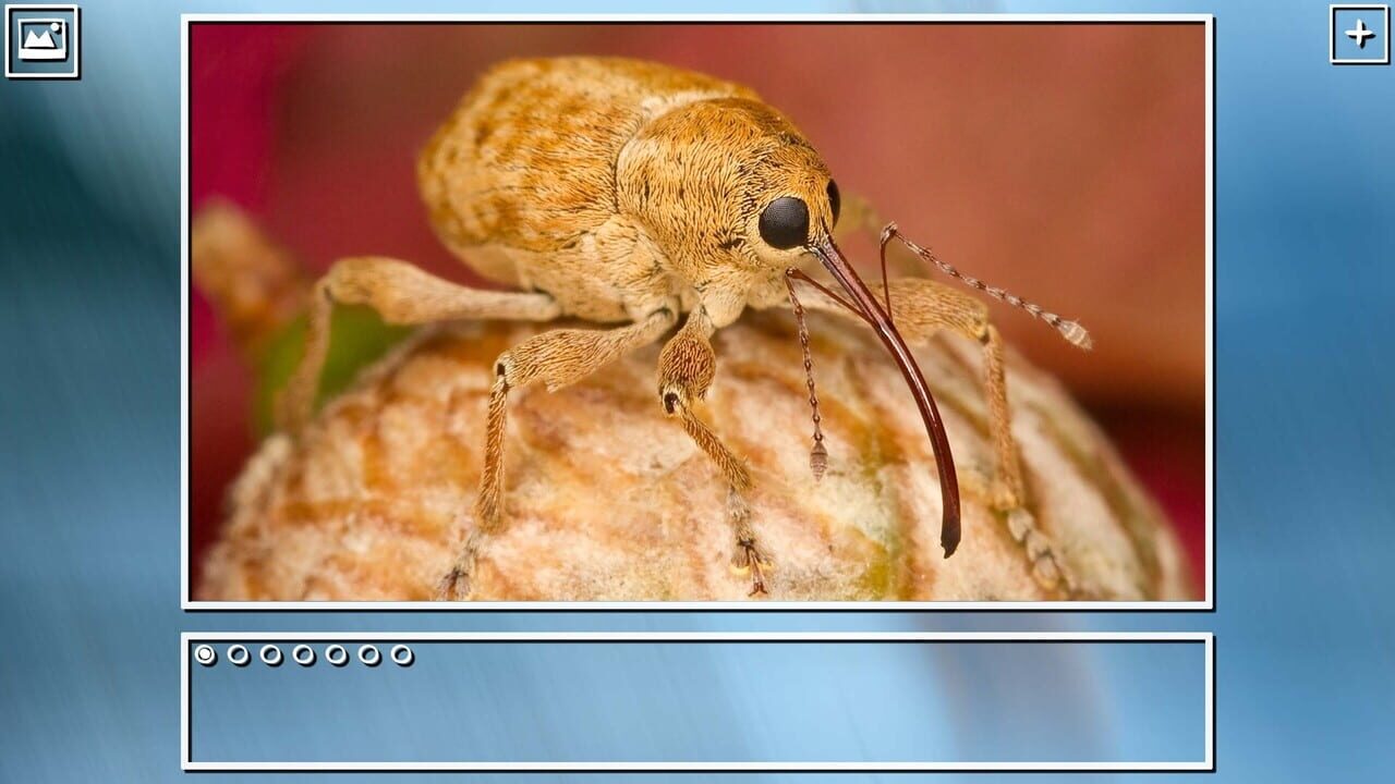 Super Jigsaw Puzzle: Generations - Bugs Puzzles Image