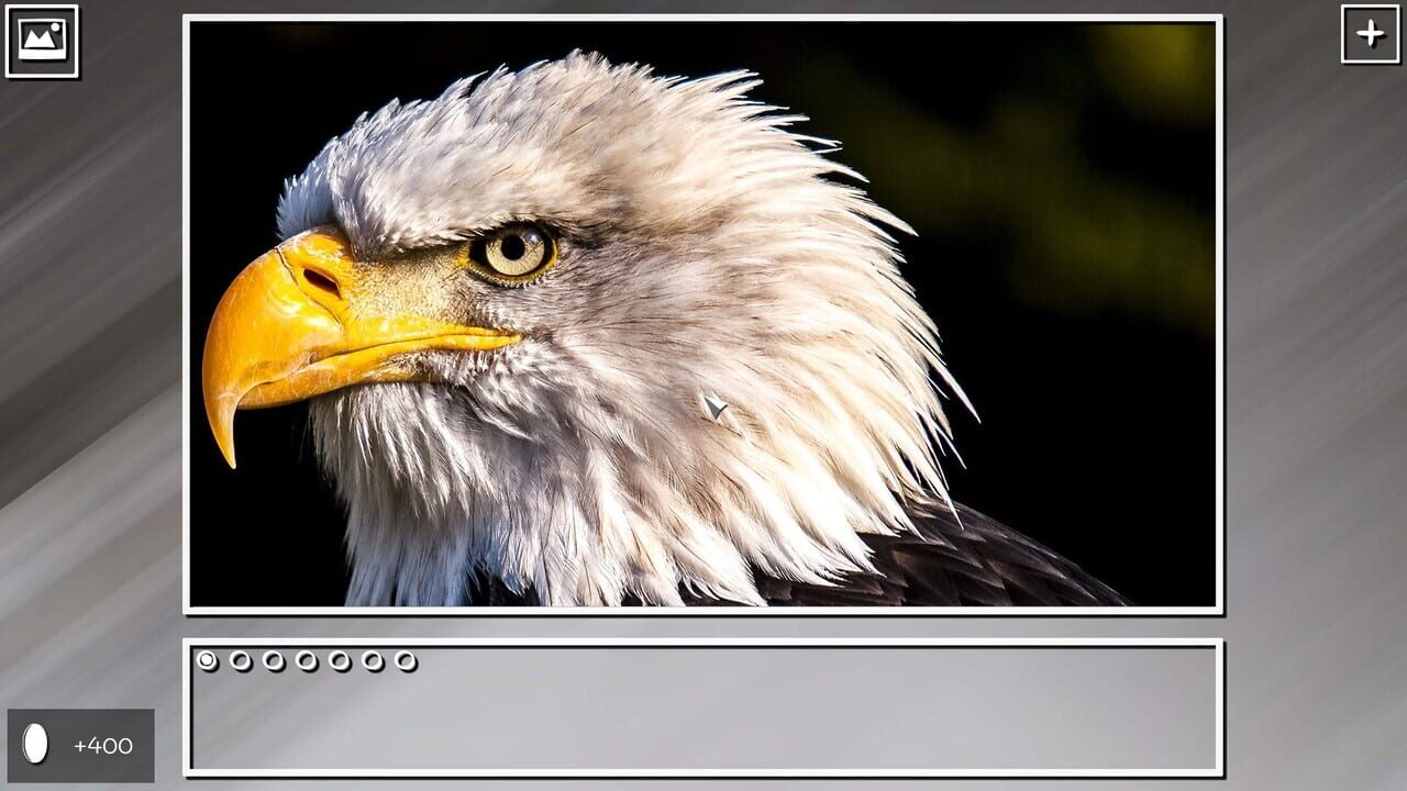 Super Jigsaw Puzzle: Generations - Random Animals Puzzles Image
