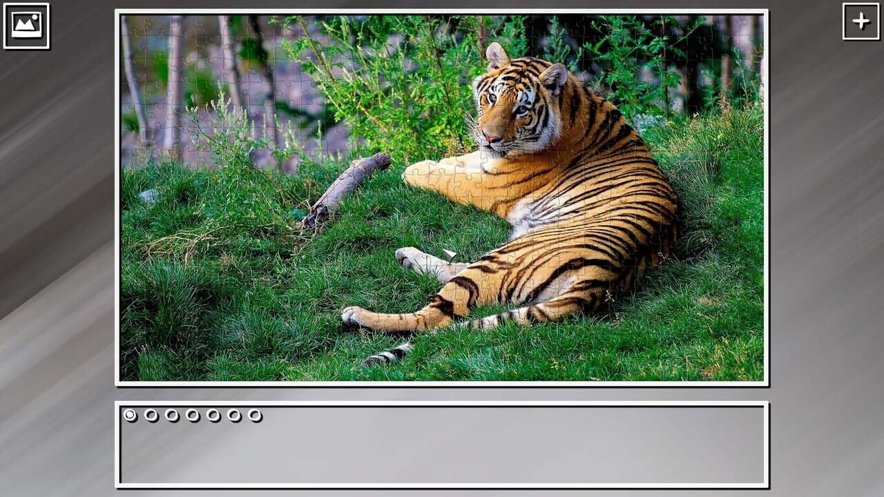 Super Jigsaw Puzzle: Generations - Random Animals Puzzles Image