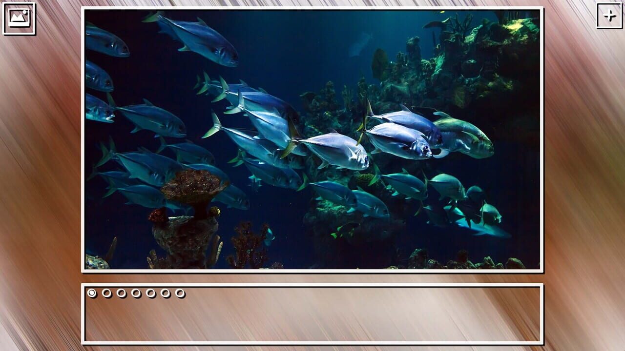 Super Jigsaw Puzzle: Generations - Sealife Puzzles Image