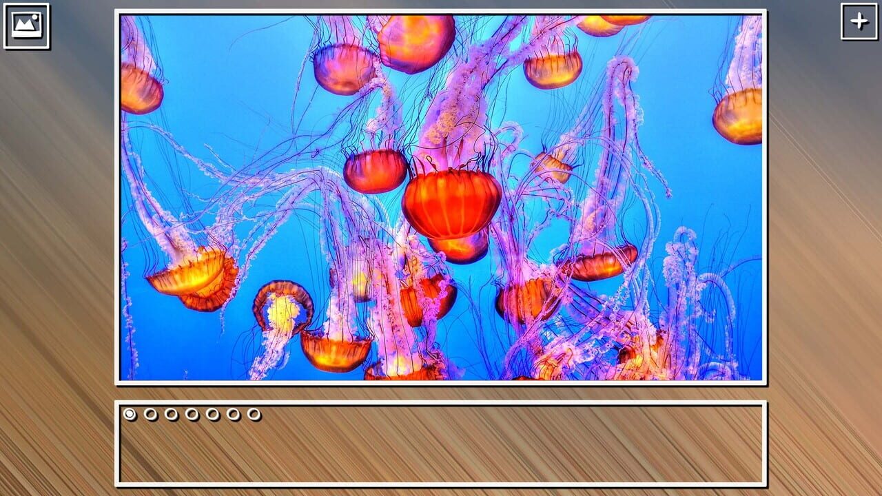 Super Jigsaw Puzzle: Generations - Sealife Puzzles Image