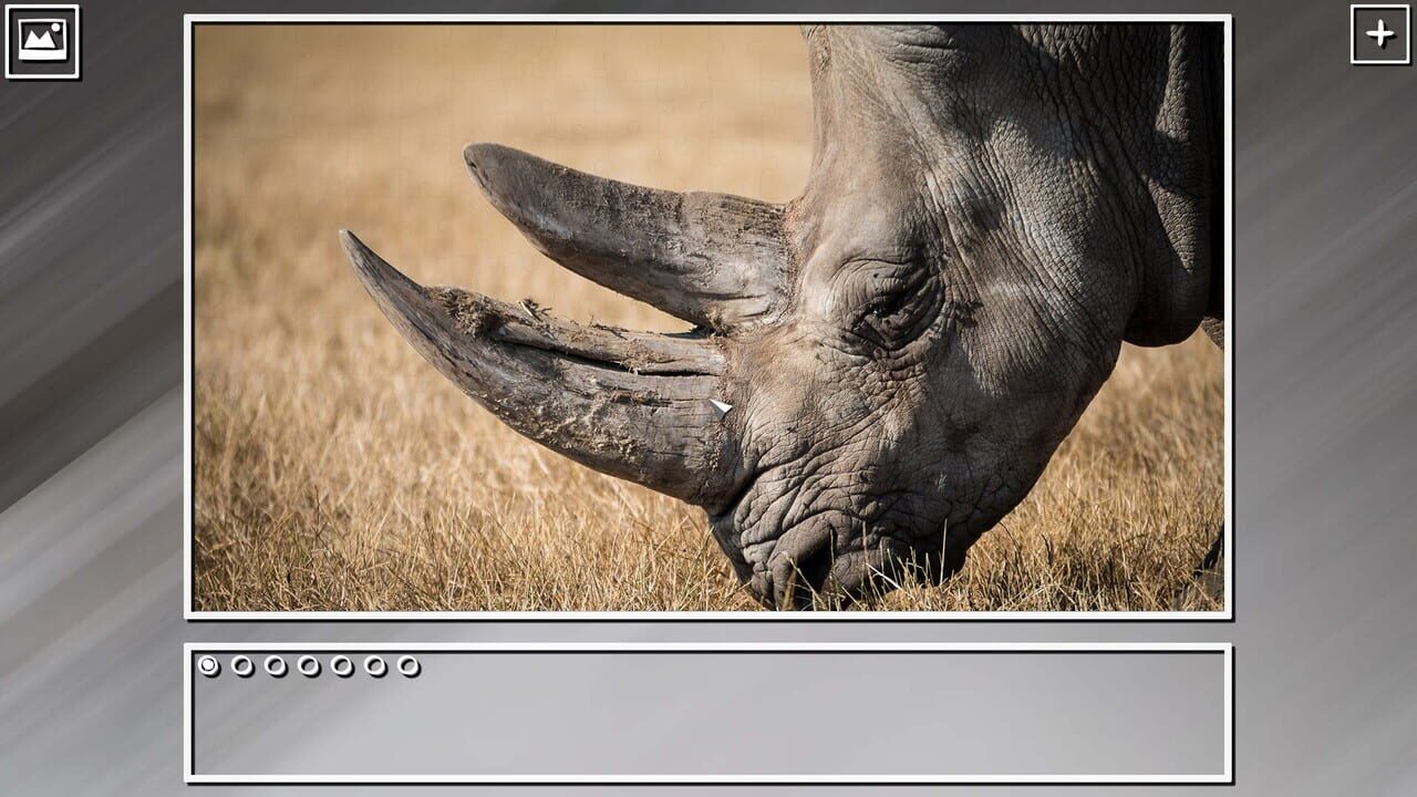 Super Jigsaw Puzzle: Generations - Random Animals Puzzles Image