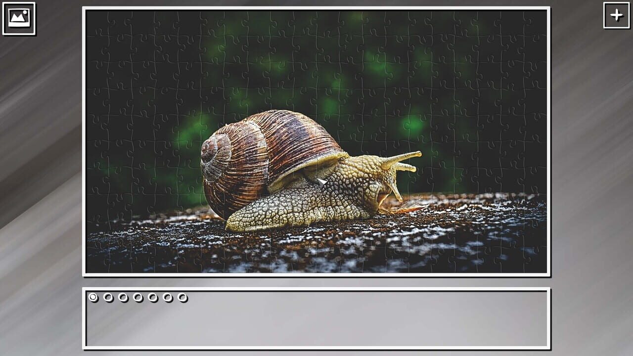 Super Jigsaw Puzzle: Generations - Random Animals Puzzles Image