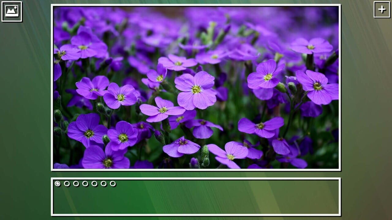 Super Jigsaw Puzzle: Generations - Flowers Puzzles Image