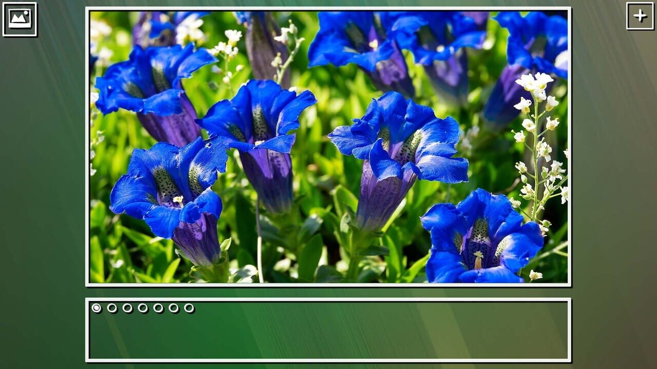 Super Jigsaw Puzzle: Generations - Flowers Puzzles Image