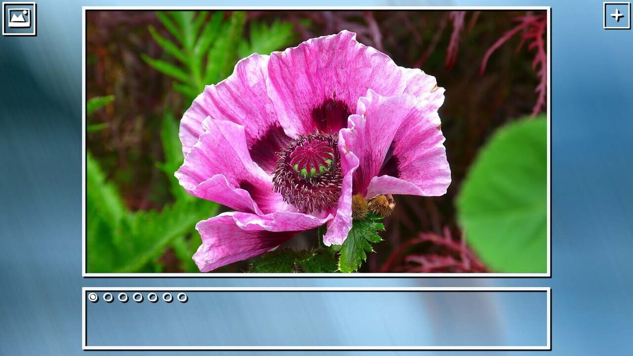 Super Jigsaw Puzzle: Generations - Flowers Puzzles Image