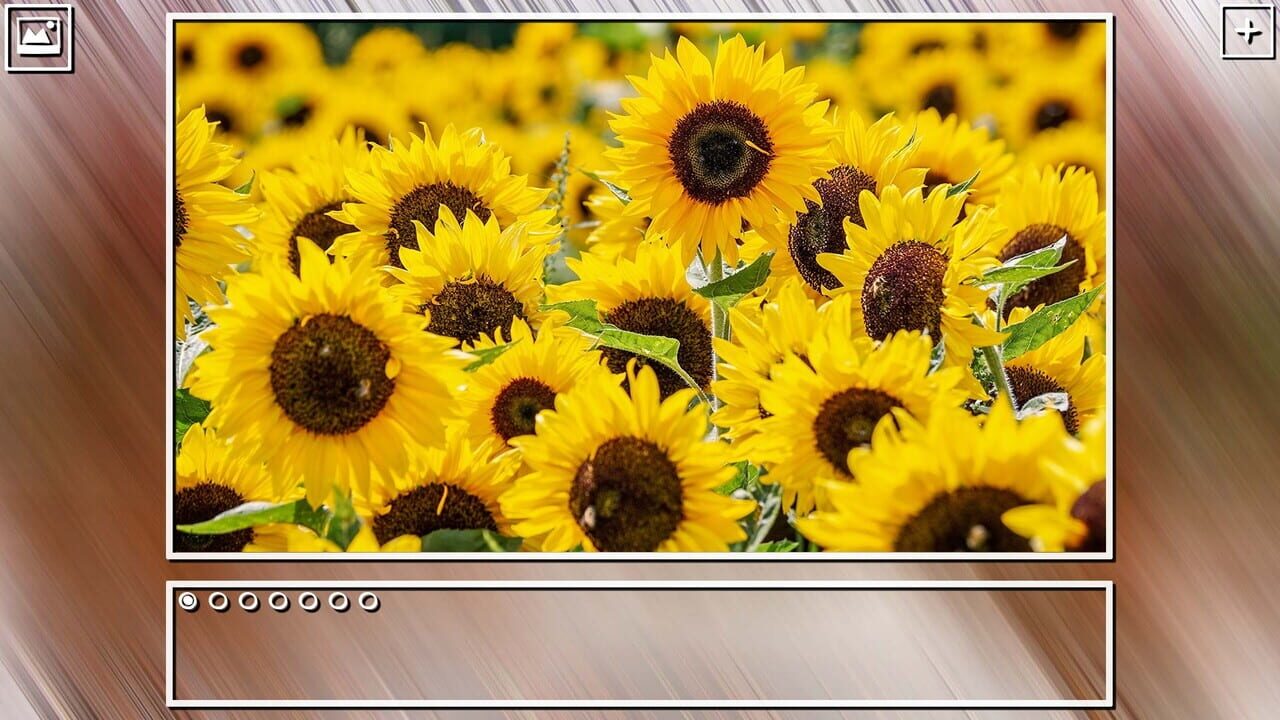Super Jigsaw Puzzle: Generations - Flowers Puzzles Image