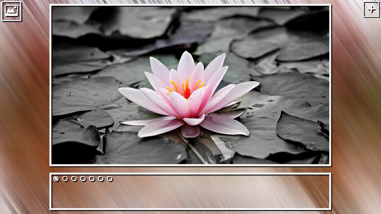 Super Jigsaw Puzzle: Generations - Flowers Puzzles Image