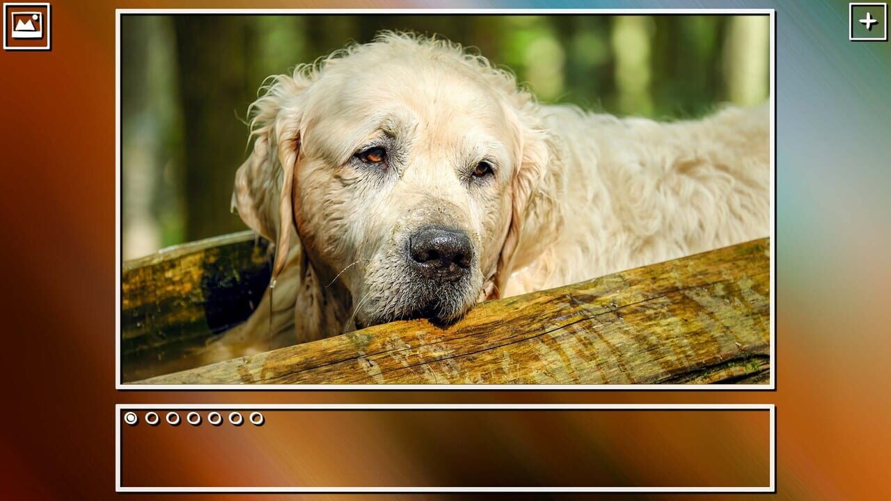 Super Jigsaw Puzzle: Generations - Dogs Puzzles Image