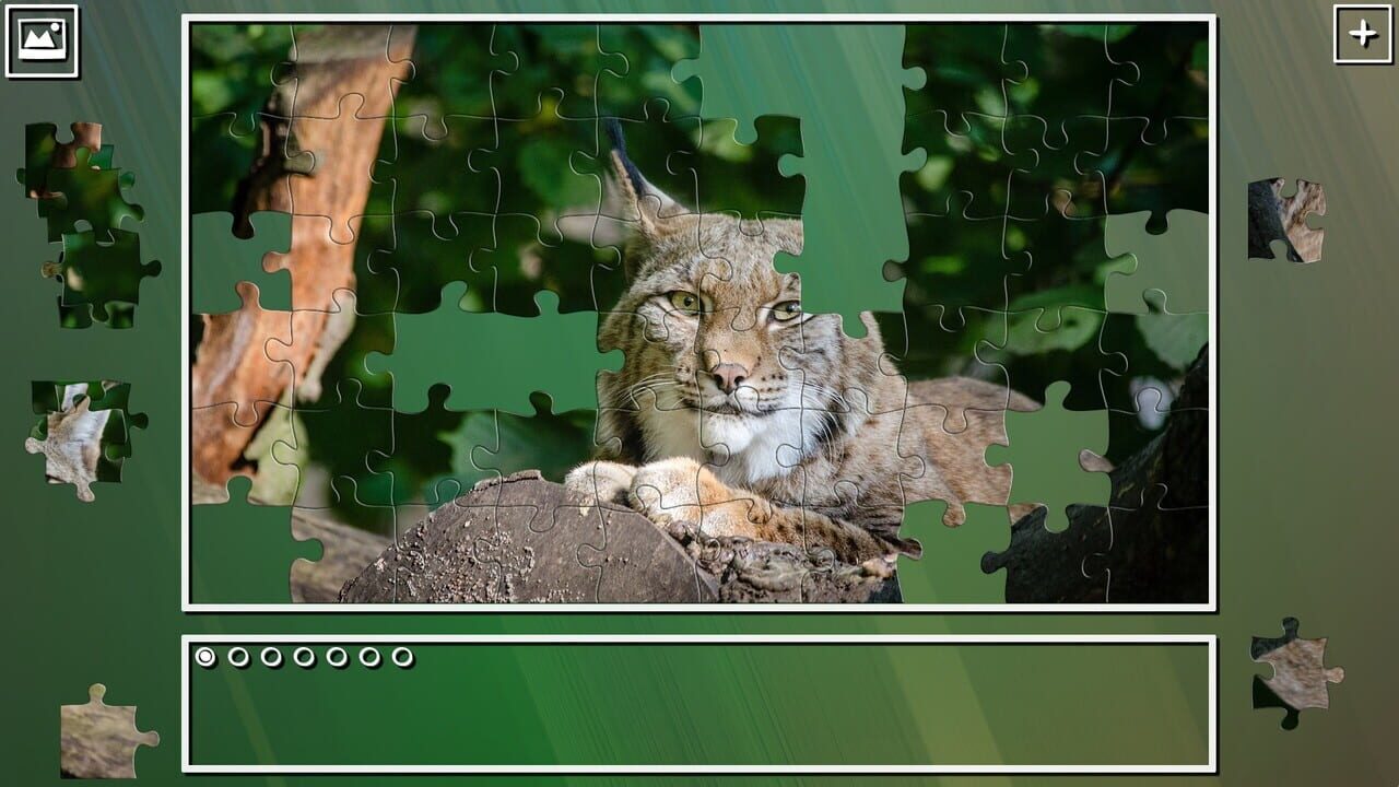 Super Jigsaw Puzzle: Generations - Big Cats Puzzles Image