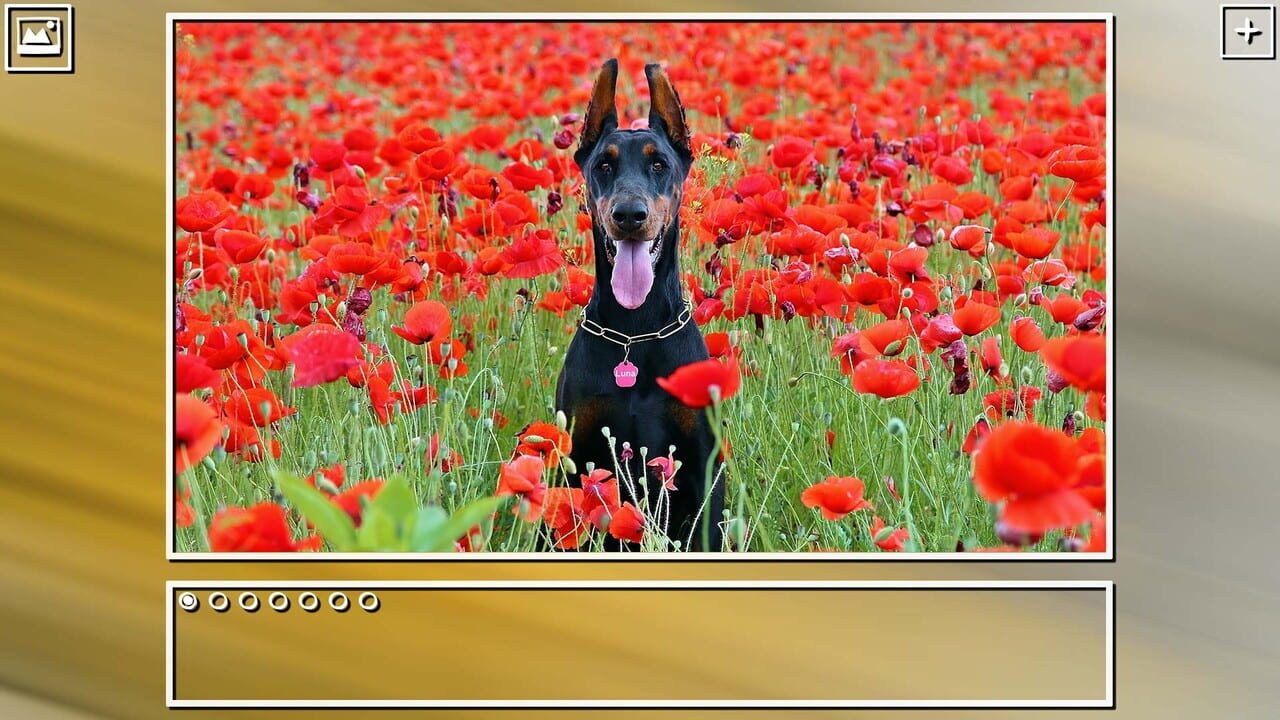 Super Jigsaw Puzzle: Generations - Dogs Puzzles Image
