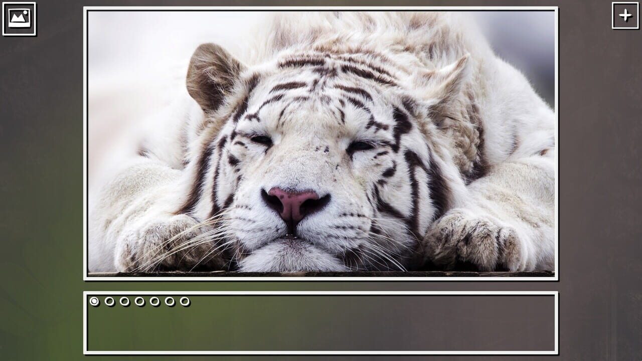Super Jigsaw Puzzle: Generations - Big Cats Puzzles Image