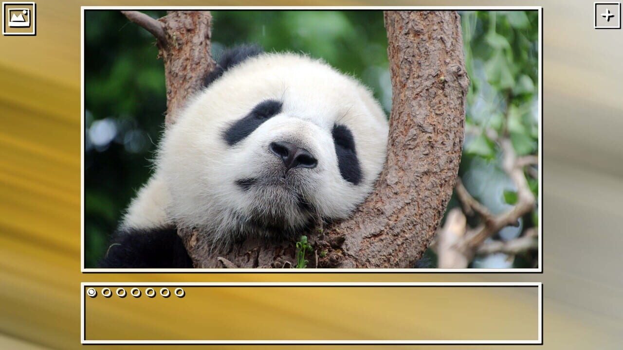 Super Jigsaw Puzzle: Generations - China Puzzles Image