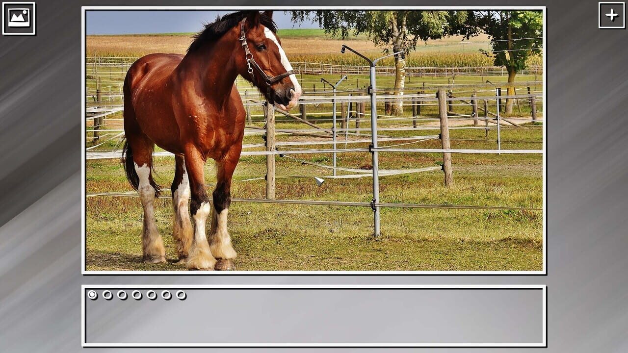 Super Jigsaw Puzzle: Generations - Horses Puzzles Image
