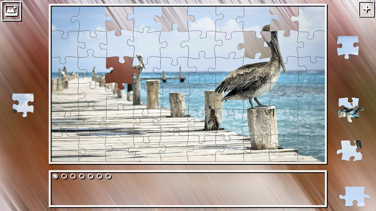Super Jigsaw Puzzle: Generations - Birds Puzzles Image