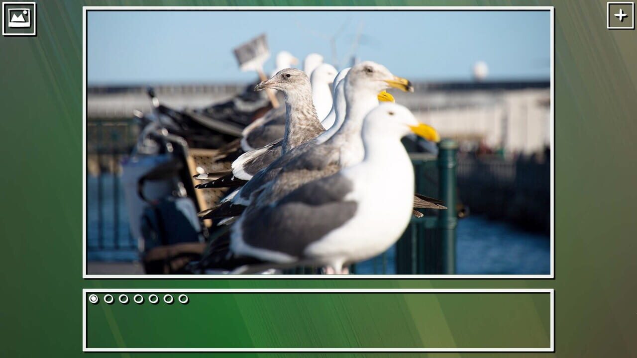 Super Jigsaw Puzzle: Generations - Birds Puzzles Image