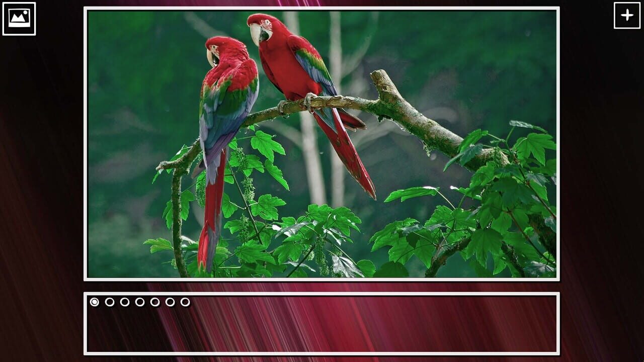 Super Jigsaw Puzzle: Generations - Birds Puzzles Image