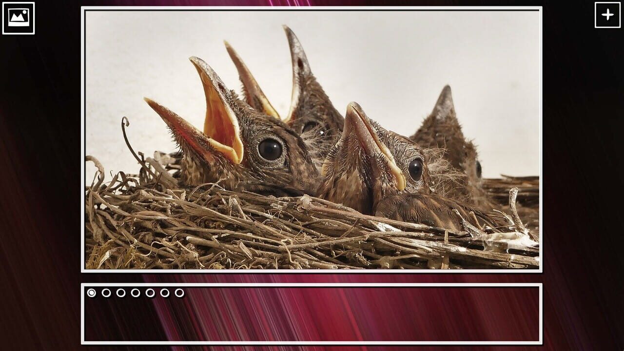 Super Jigsaw Puzzle: Generations - Birds Puzzles Image