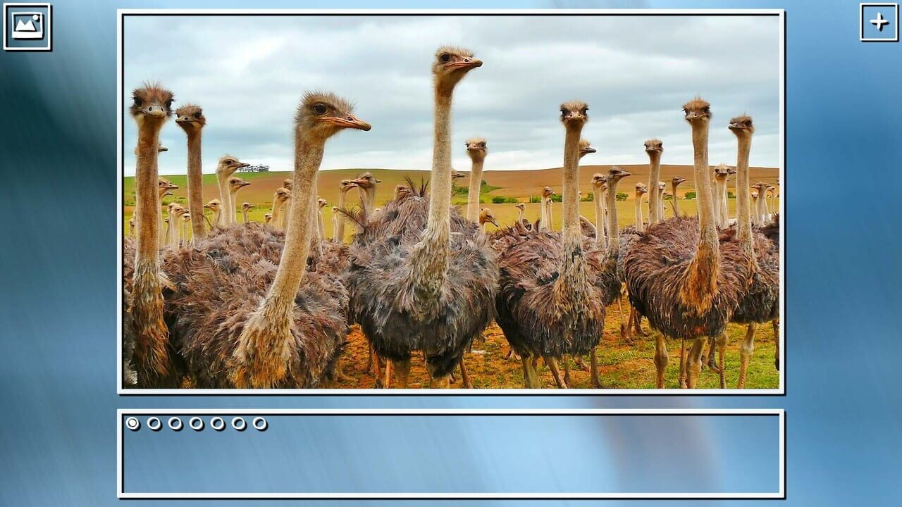Super Jigsaw Puzzle: Generations - Birds Puzzles Image