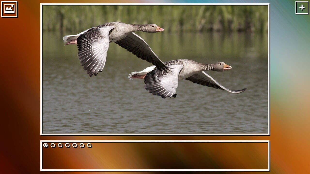 Super Jigsaw Puzzle: Generations - Birds Puzzles Image