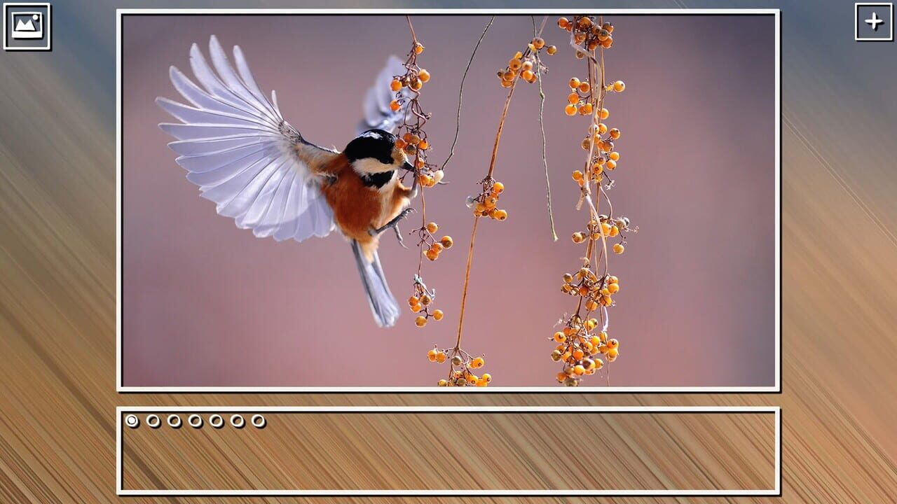 Super Jigsaw Puzzle: Generations - Birds Puzzles Image