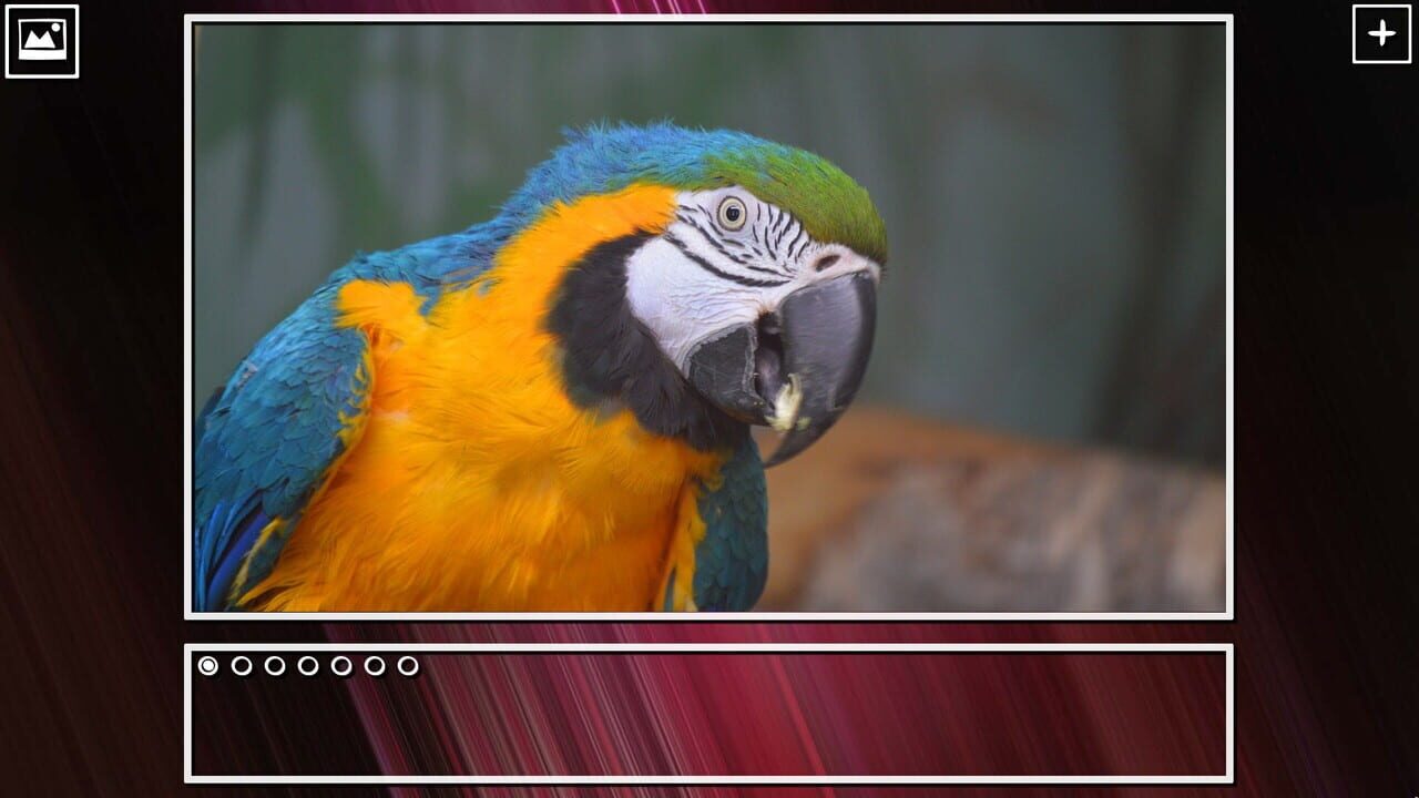 Super Jigsaw Puzzle: Generations - Birds Puzzles Image