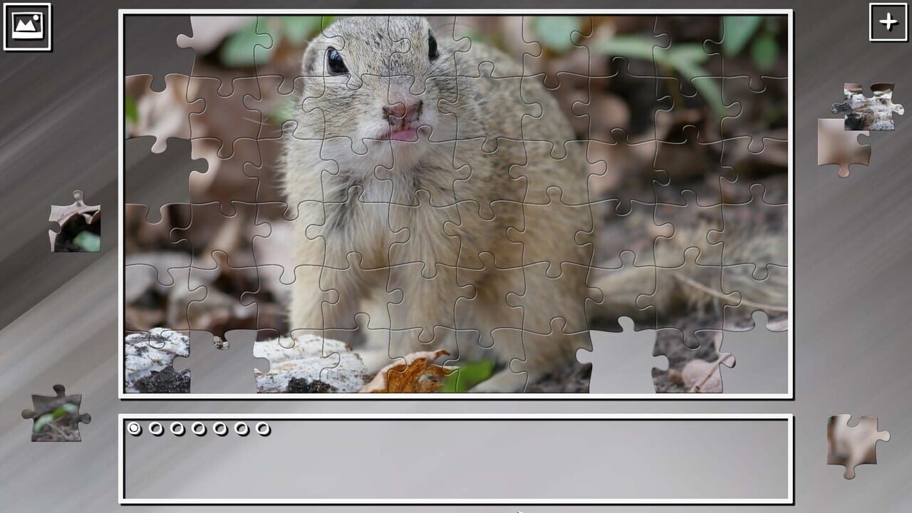 Super Jigsaw Puzzle: Generations - Rodents Image