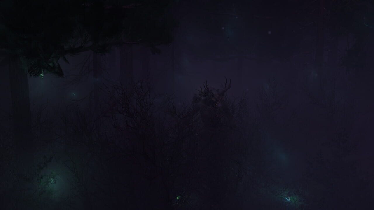 Finsterwald Image