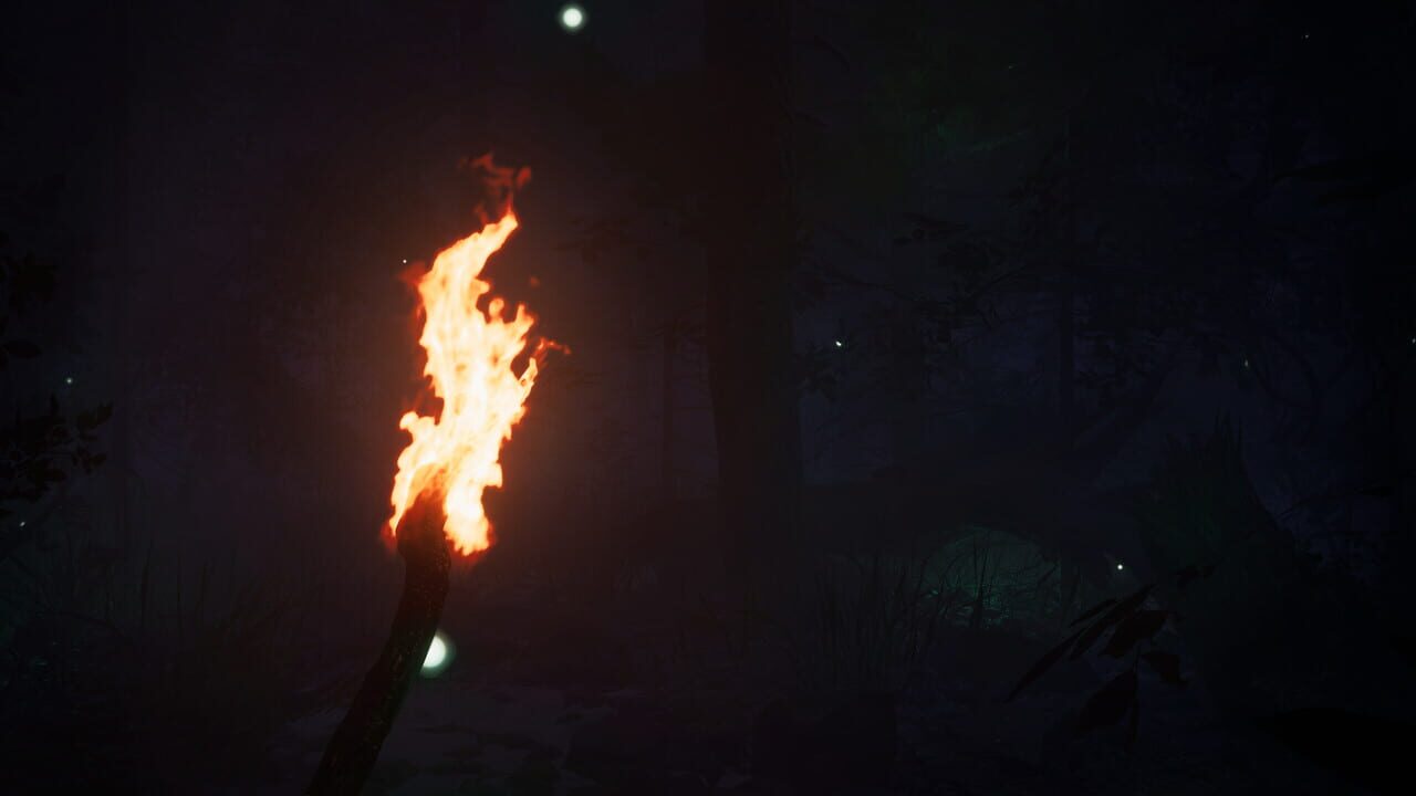 Finsterwald Image