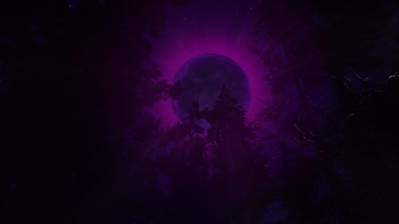 Finsterwald Image