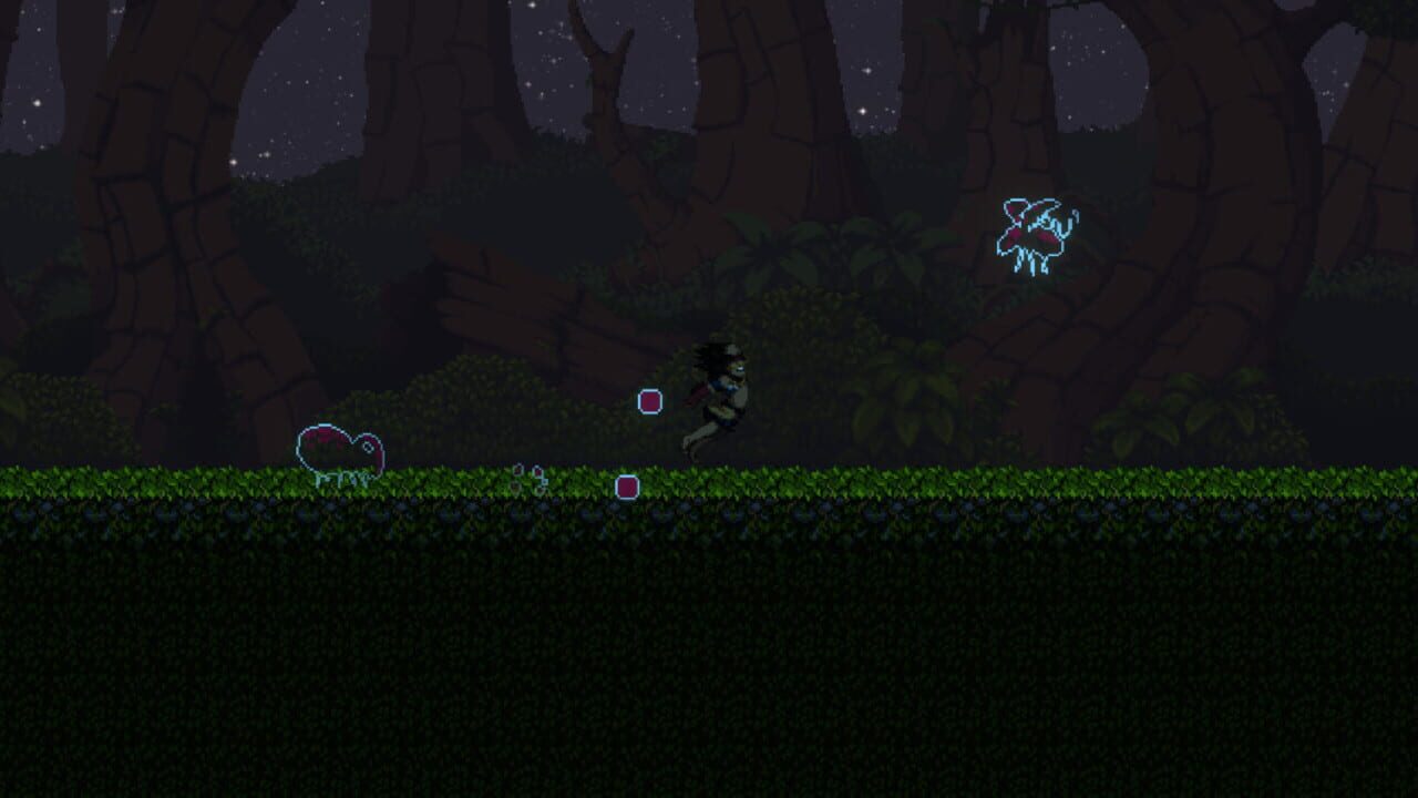 Bacuri — Screenshot 5