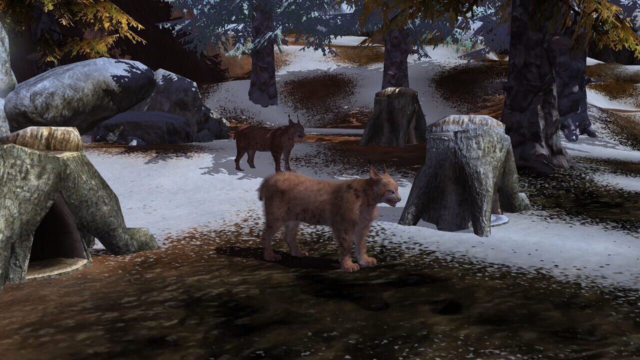 Wildilfe Park 3: Alaska Image