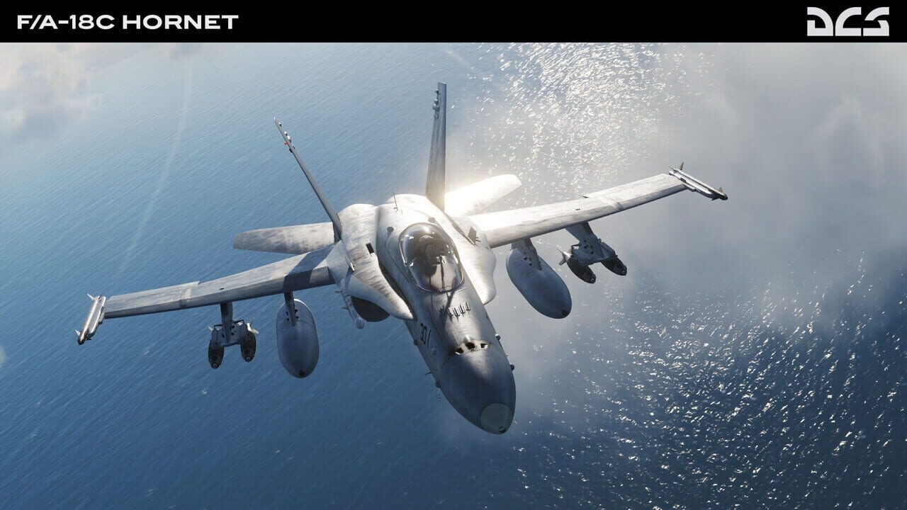 DCS World: F/A-18C Hornet Image