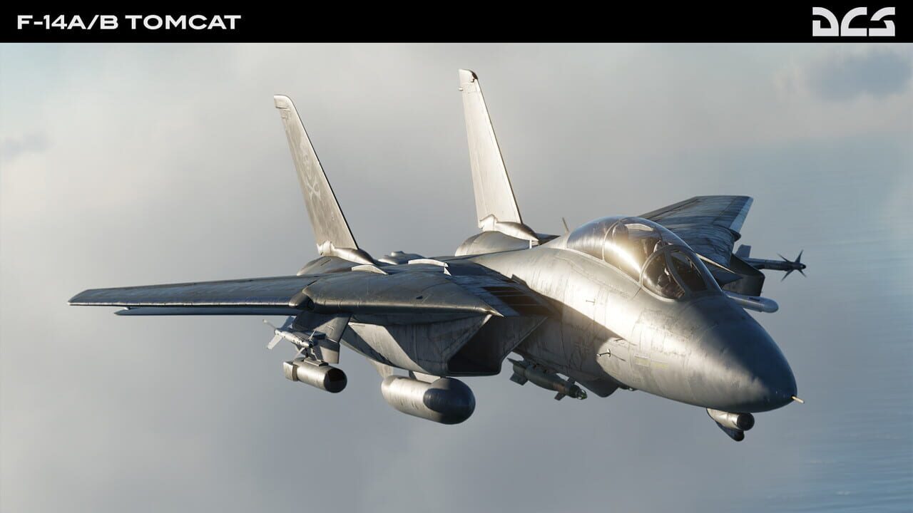 DCS World: F-14A/B Tomcat Image