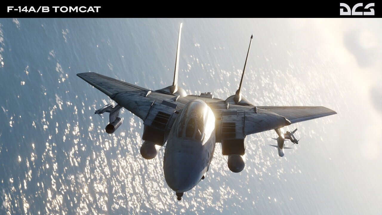 DCS World: F-14A/B Tomcat Image