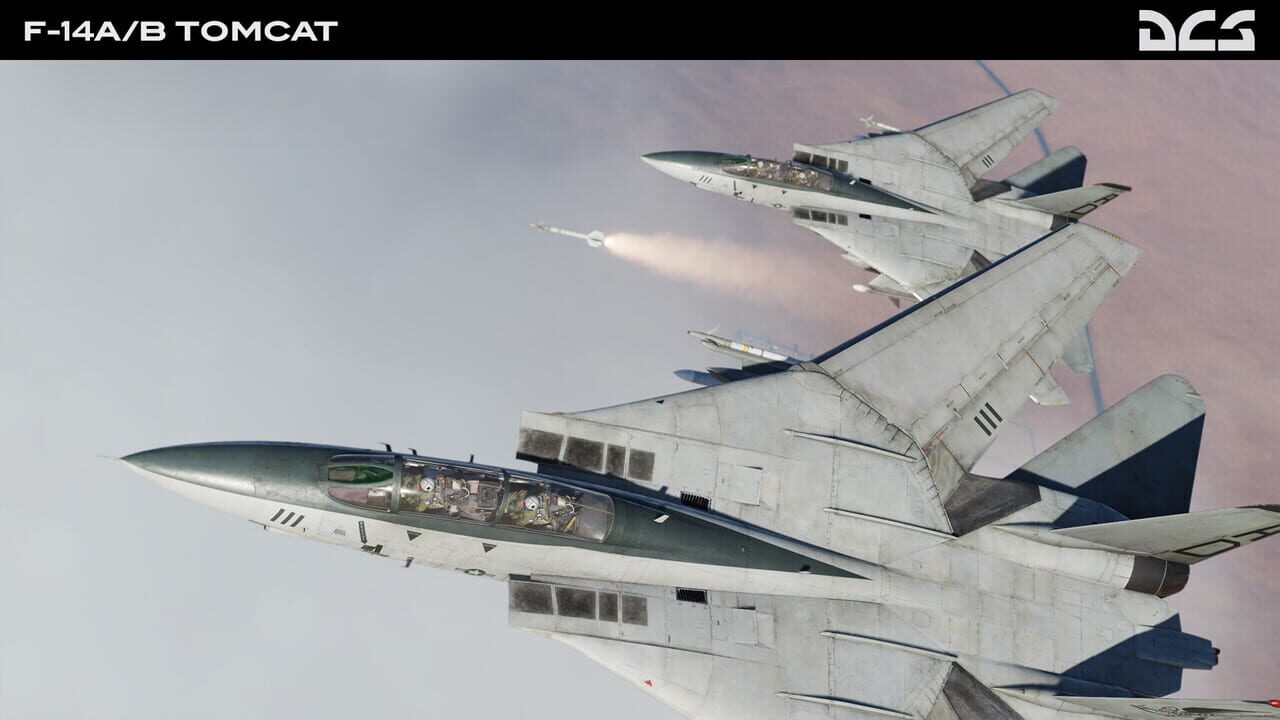 DCS World: F-14A/B Tomcat Image