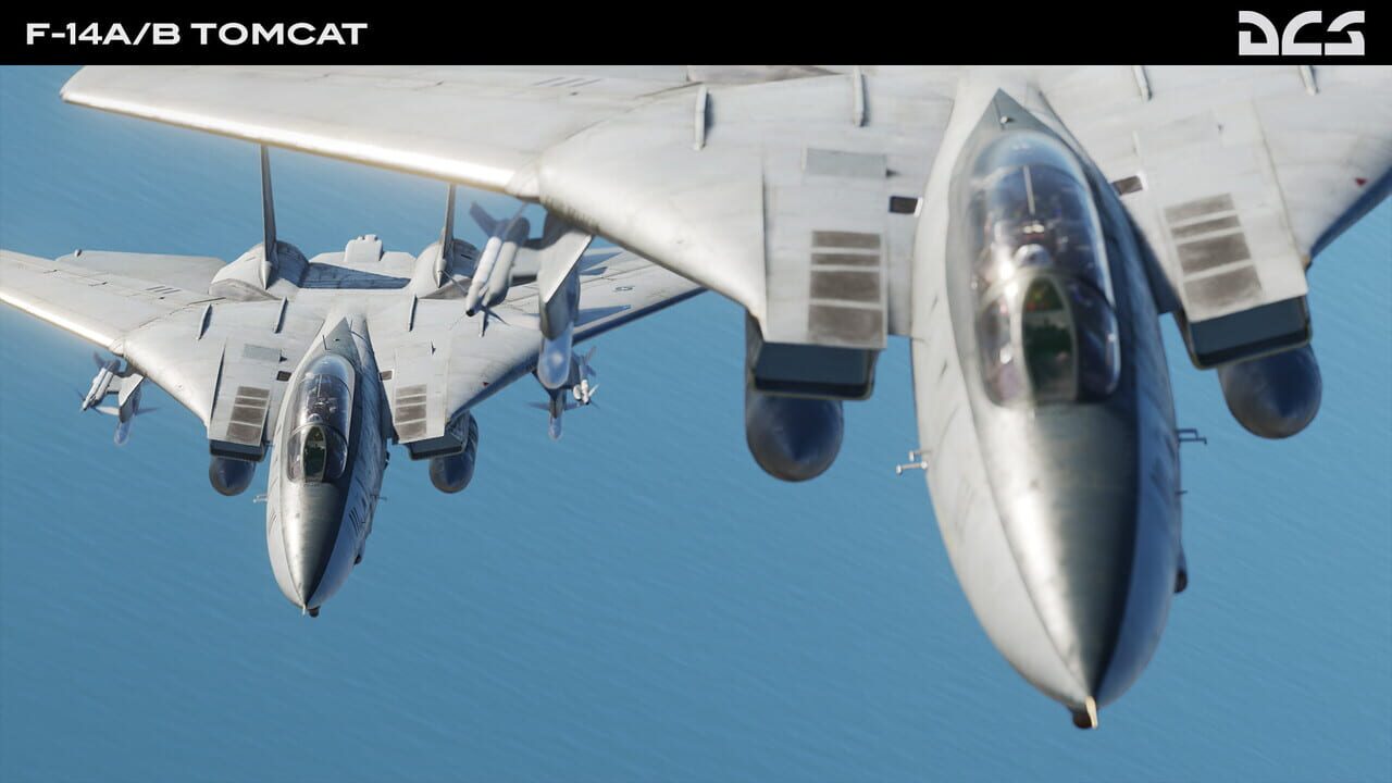 DCS World: F-14A/B Tomcat Image