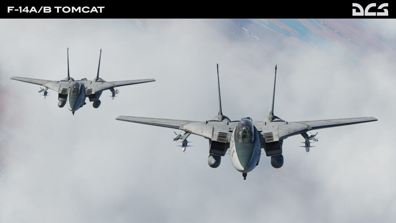 DCS World: F-14A/B Tomcat Image