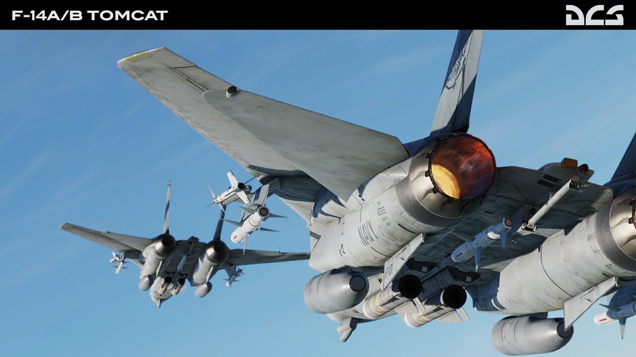 DCS World: F-14A/B Tomcat Image