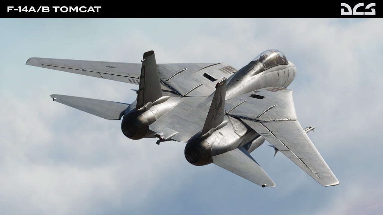 DCS World: F-14A/B Tomcat Image