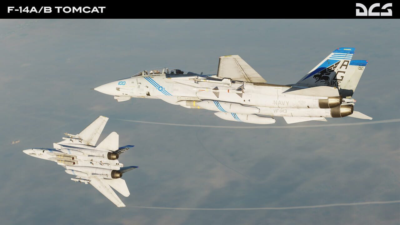 DCS World: F-14A/B Tomcat Image