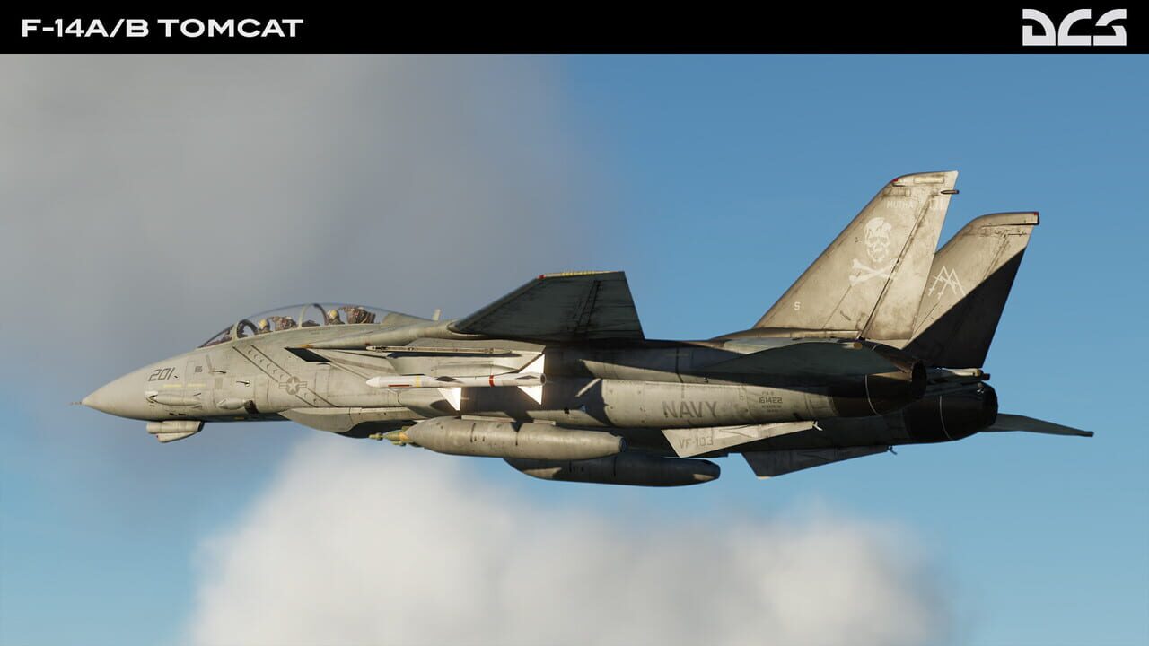 DCS World: F-14A/B Tomcat Image