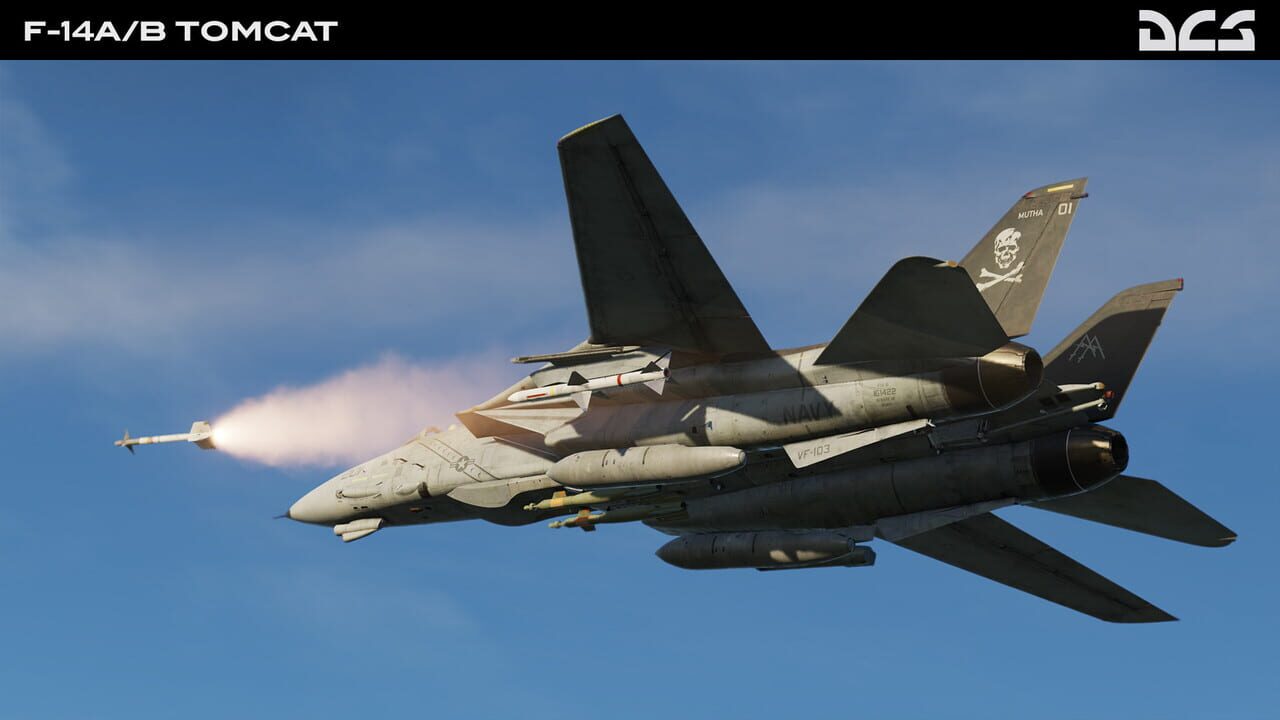 DCS World: F-14A/B Tomcat Image