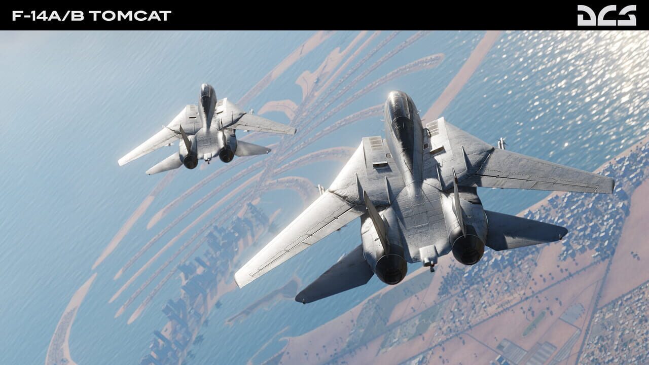 DCS World: F-14A/B Tomcat Image